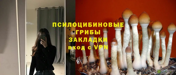 молекула духа Балахна