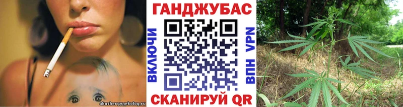 Каннабис OG Kush  Балтийск 